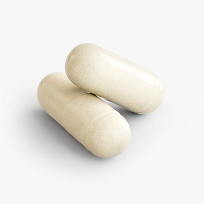 Daily Probiotic