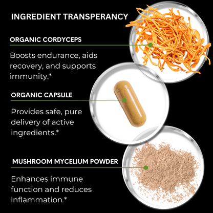 Cordyceps Mushroom