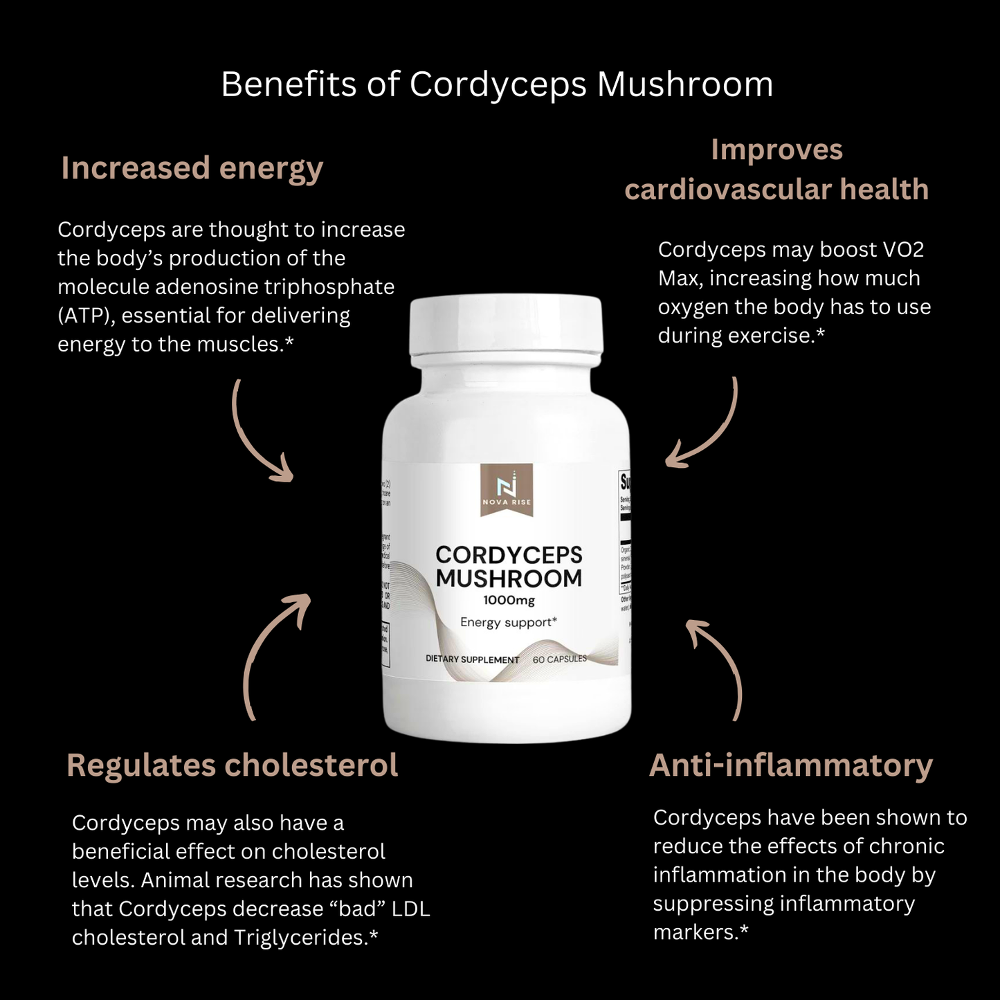 Cordyceps Mushroom