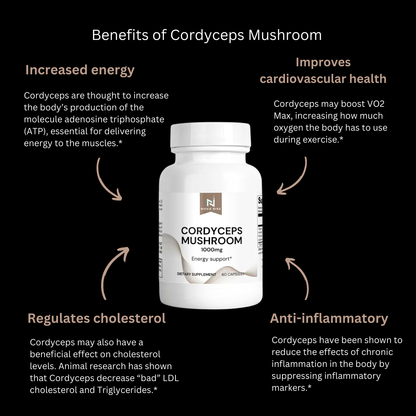 Cordyceps Mushroom